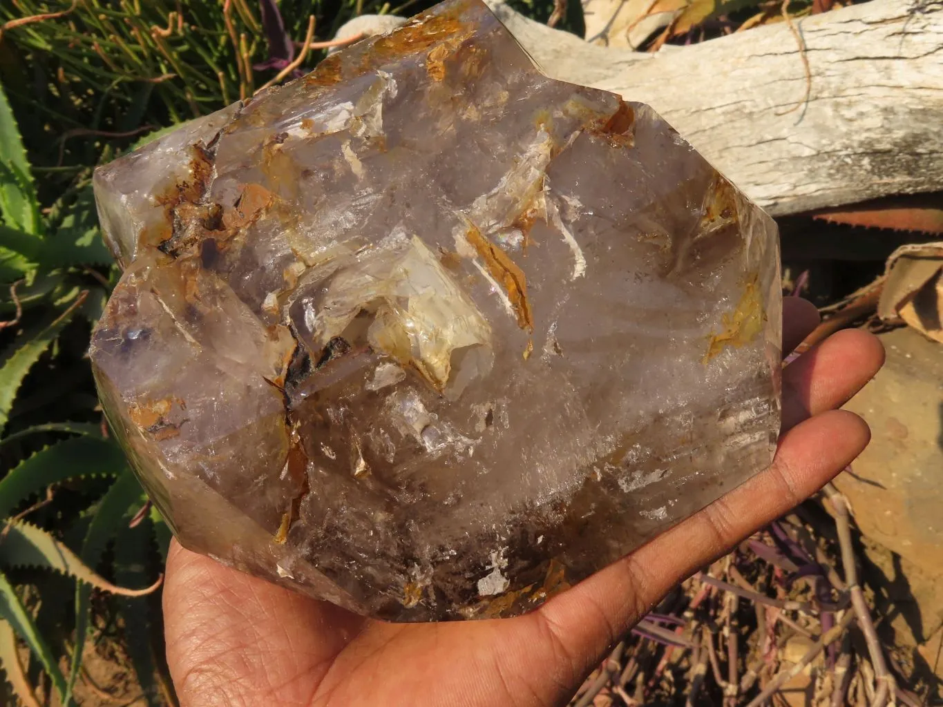 Polished A Grade Extra Large Smokey Clear Sceptre Window Quartz Crystal x 1 From Akansobe, Madagascar