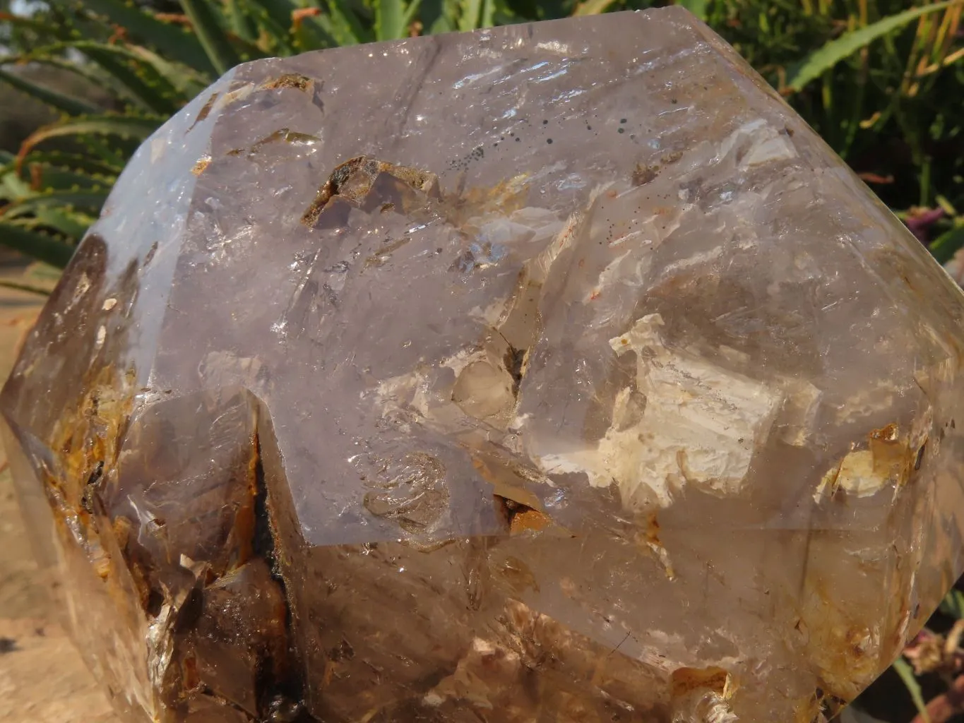 Polished A Grade Extra Large Smokey Clear Sceptre Window Quartz Crystal x 1 From Akansobe, Madagascar