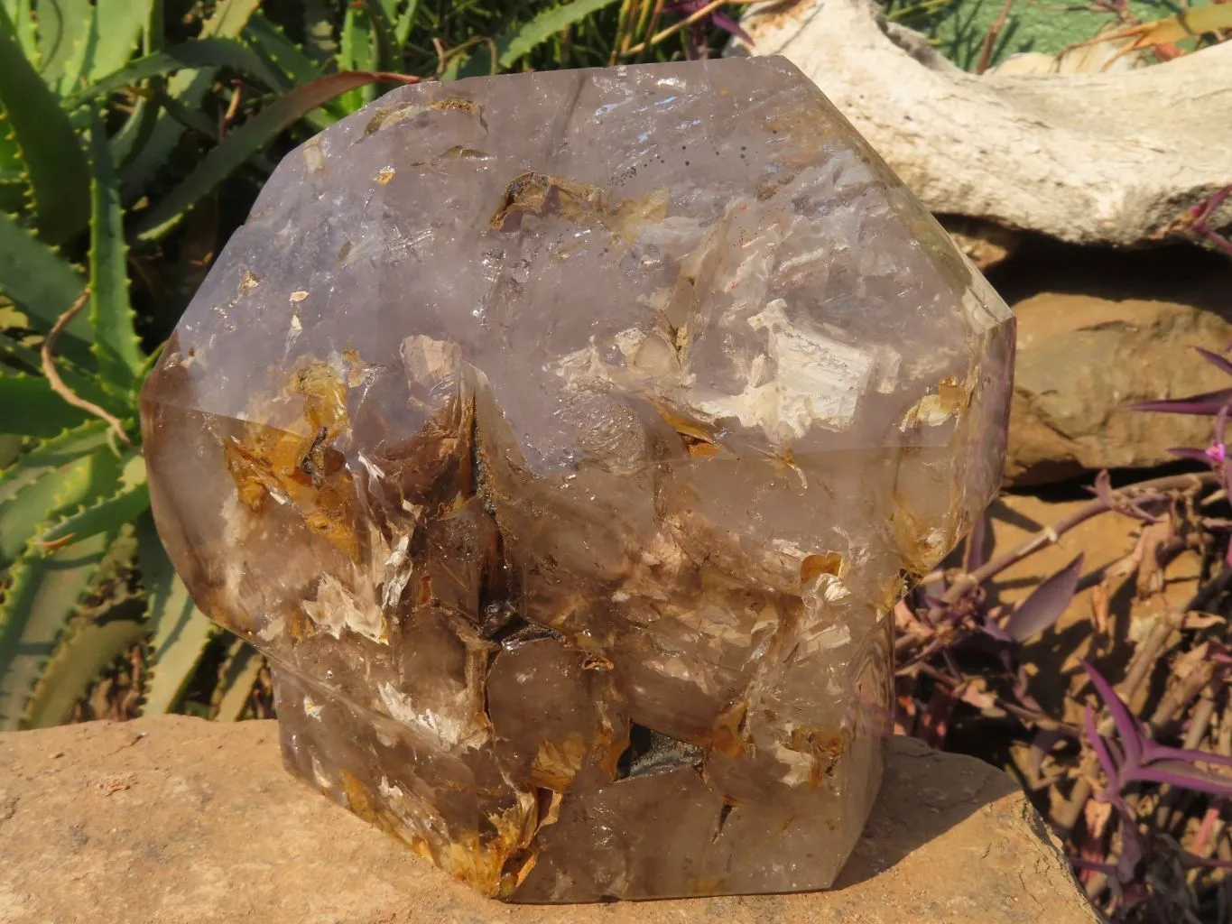 Polished A Grade Extra Large Smokey Clear Sceptre Window Quartz Crystal x 1 From Akansobe, Madagascar