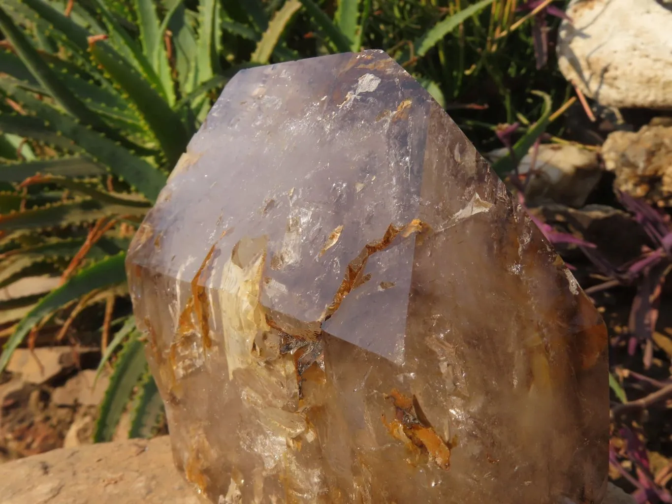 Polished A Grade Extra Large Smokey Clear Sceptre Window Quartz Crystal x 1 From Akansobe, Madagascar