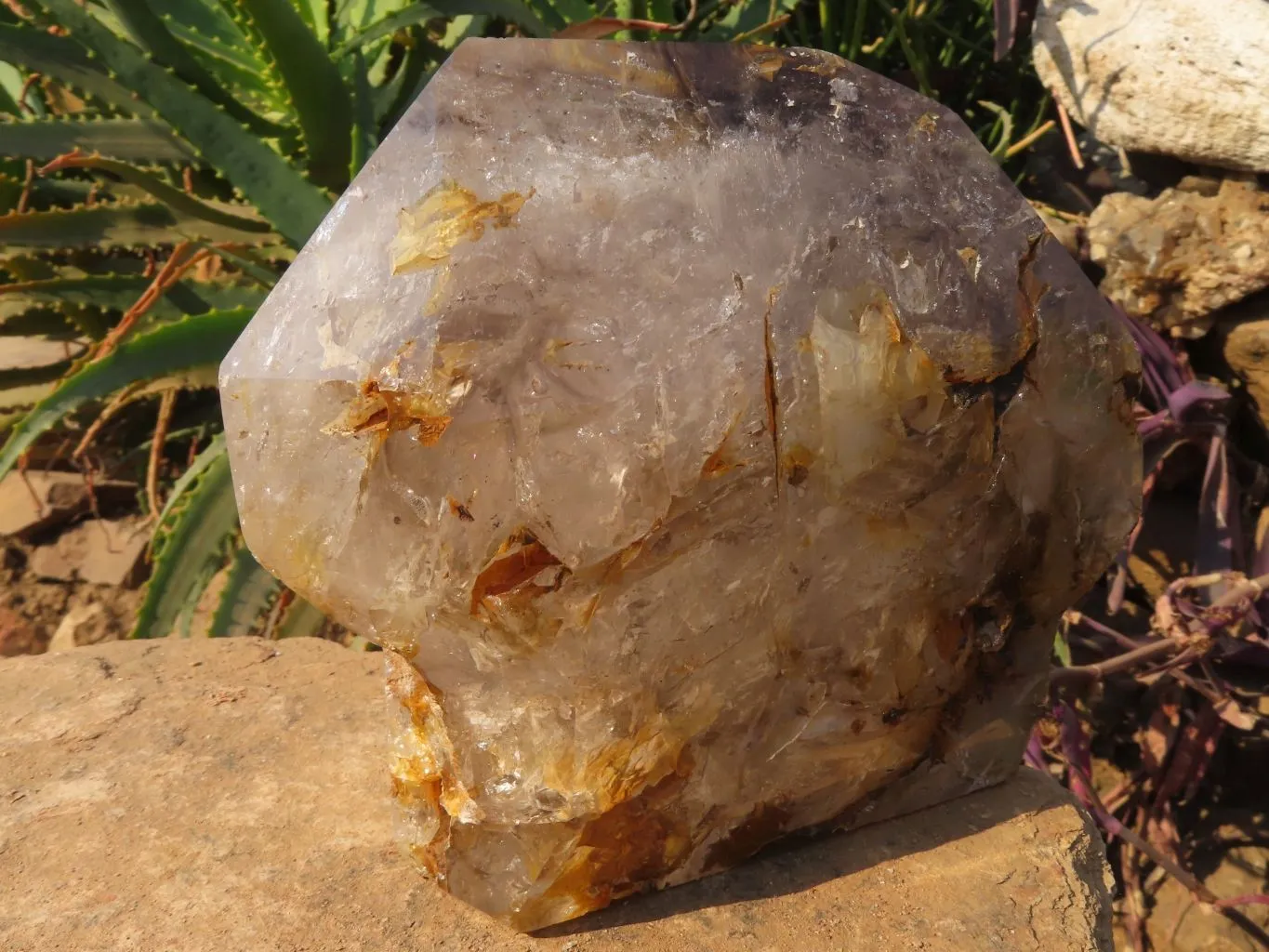 Polished A Grade Extra Large Smokey Clear Sceptre Window Quartz Crystal x 1 From Akansobe, Madagascar