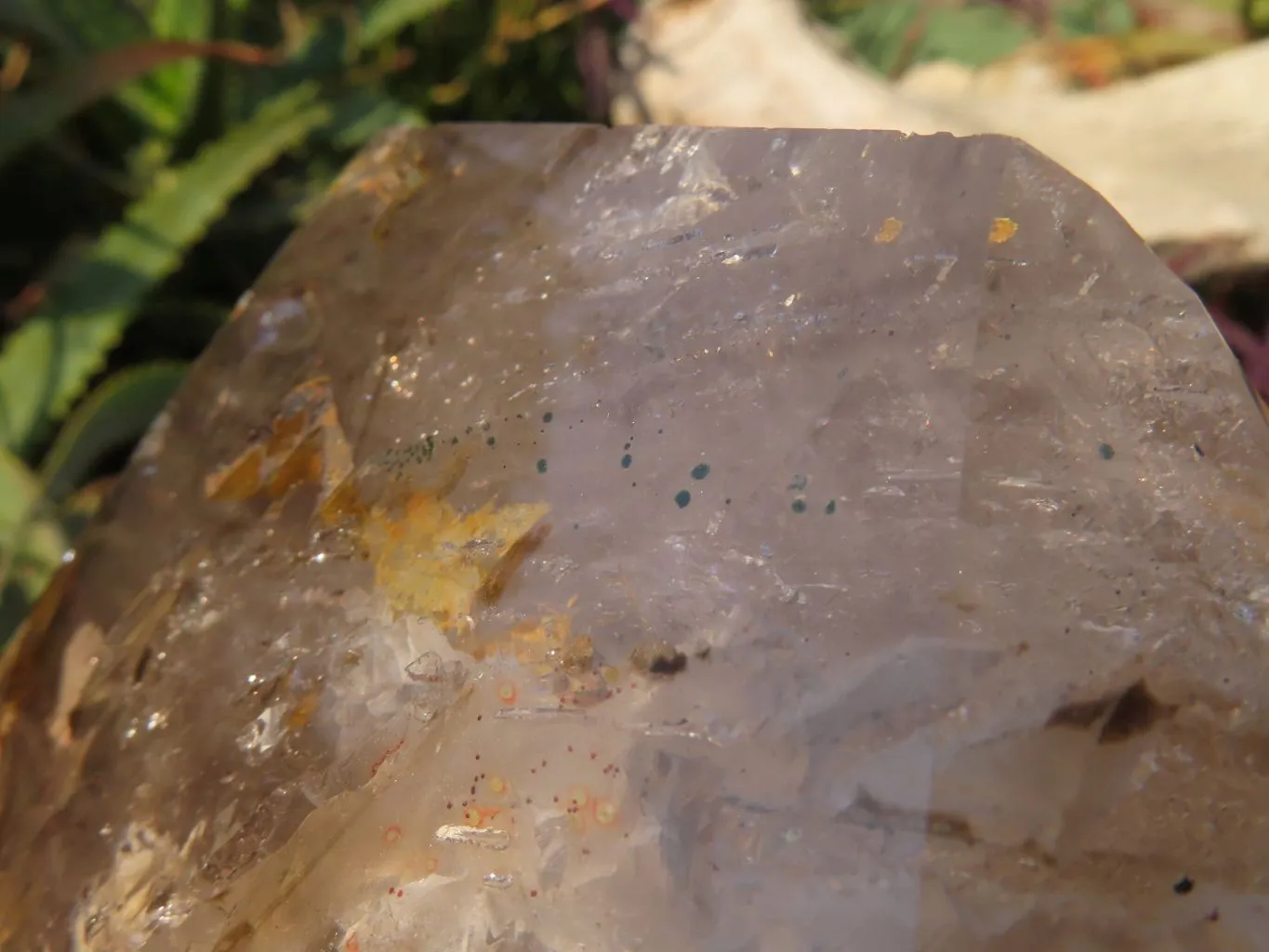 Polished A Grade Extra Large Smokey Clear Sceptre Window Quartz Crystal x 1 From Akansobe, Madagascar
