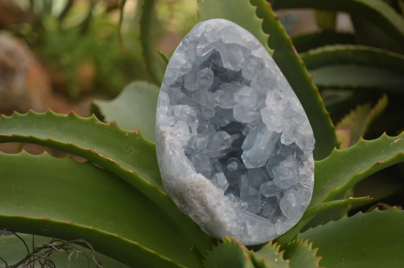 Polished Blue Celestite Crystal Centred Egg x 1 From Sakoany, Madagascar