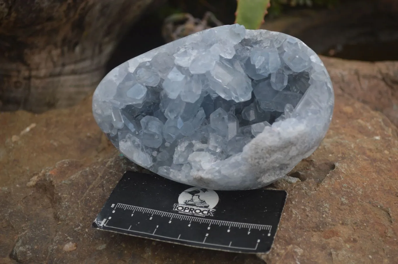 Polished Blue Celestite Crystal Centred Egg x 1 From Sakoany, Madagascar