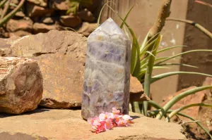 Polished Large Chevron Amethyst Point x 1 From Madagascar