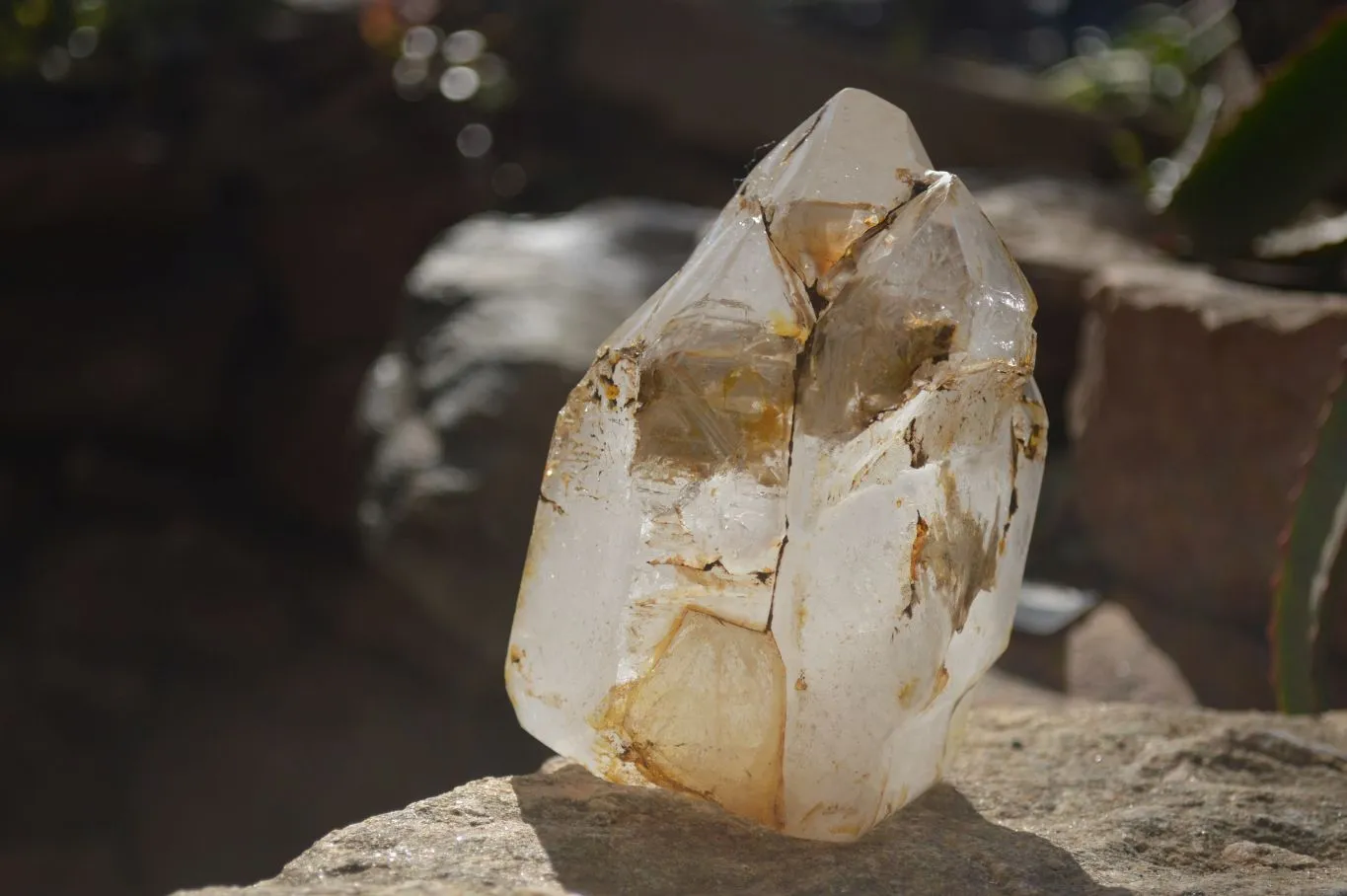 Polished Large Triple Headed Window Quartz Crystal x 1 From Madagascar