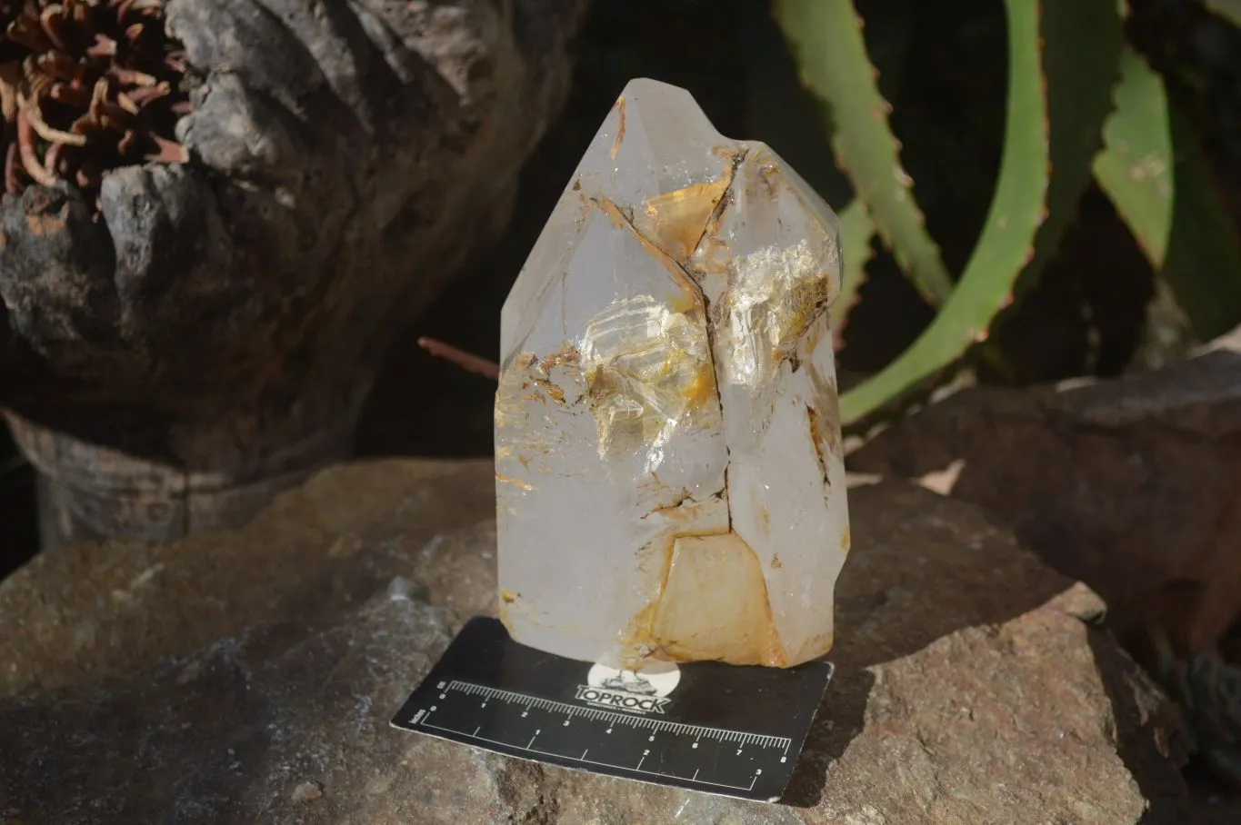 Polished Large Triple Headed Window Quartz Crystal x 1 From Madagascar