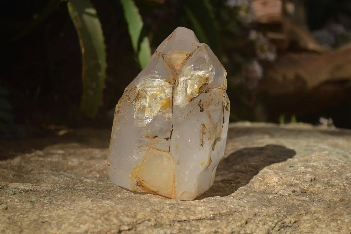 Polished Large Triple Headed Window Quartz Crystal x 1 From Madagascar