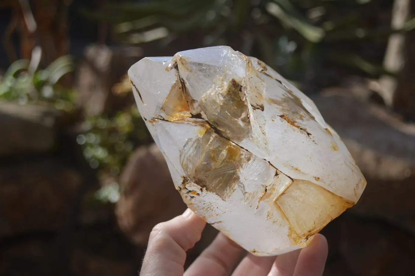 Polished Large Triple Headed Window Quartz Crystal x 1 From Madagascar