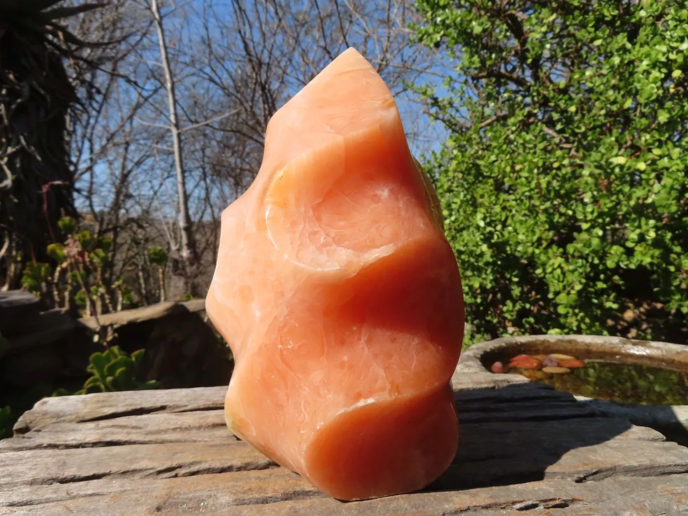 Polished Orange Twist Calcite Flame Sculpture  x 1 From Madagascar