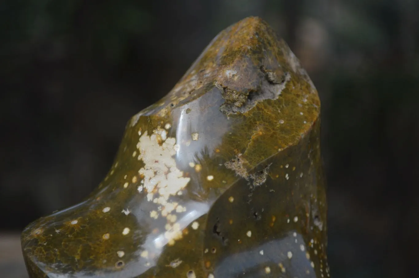Polished Orbicular Ocean Jasper Flame Sculpture  x 1 From Madagascar