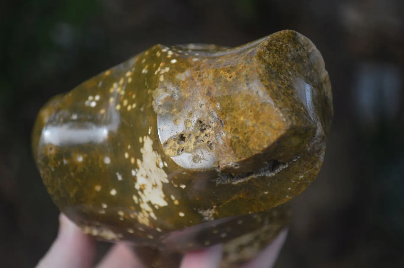 Polished Orbicular Ocean Jasper Flame Sculpture  x 1 From Madagascar
