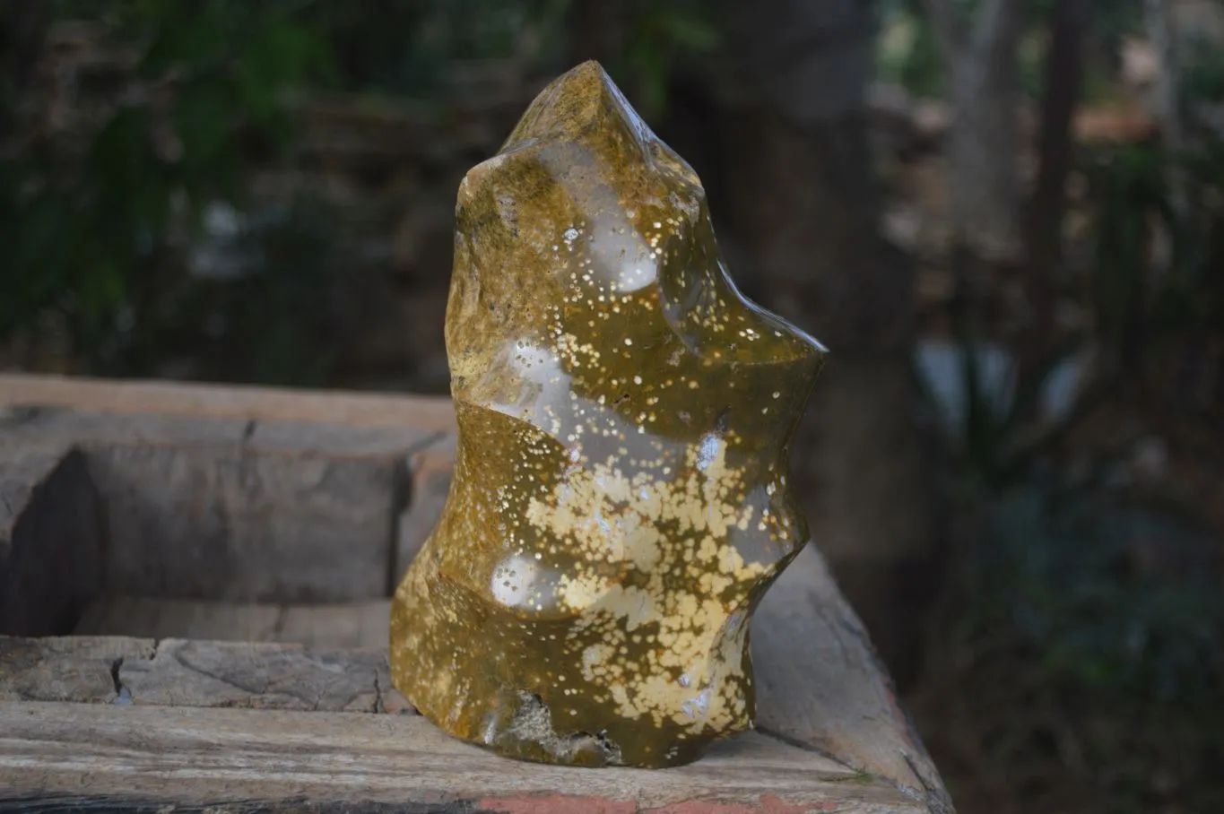 Polished Orbicular Ocean Jasper Flame Sculpture  x 1 From Madagascar