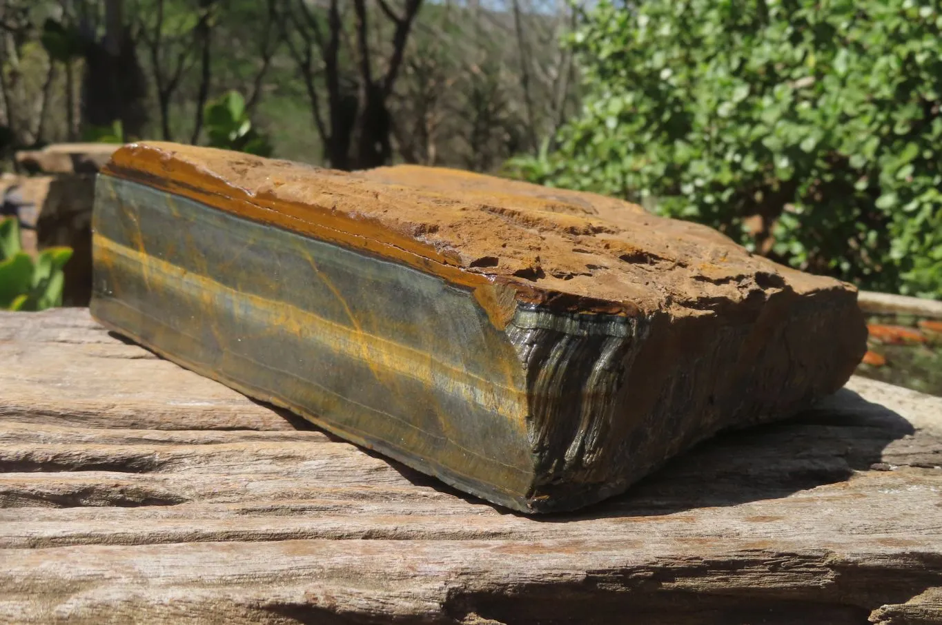 Polished Partially Blue & Gold Tigers Eye Slab x 1 From South Africa