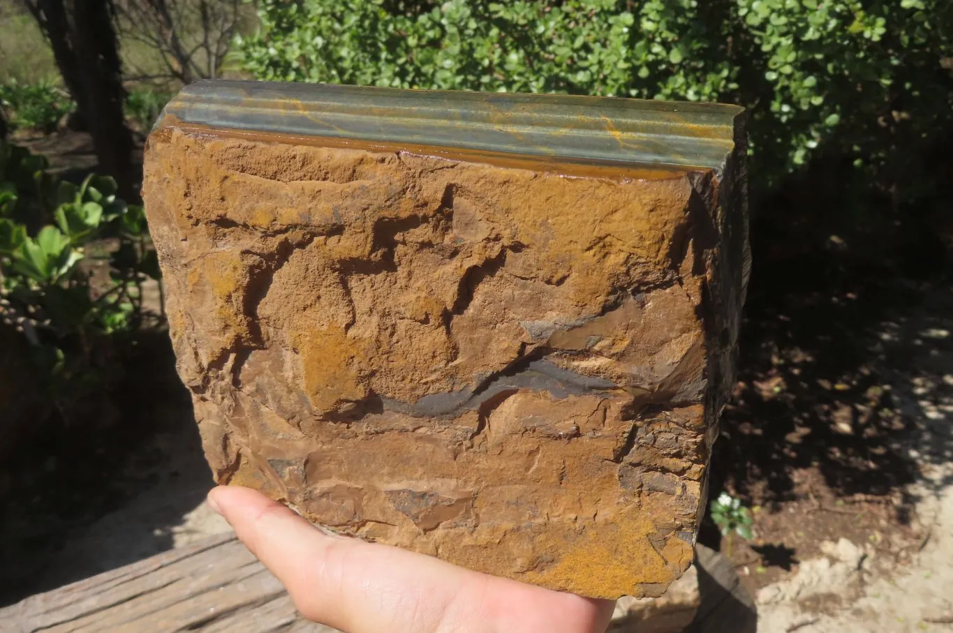 Polished Partially Blue & Gold Tigers Eye Slab x 1 From South Africa