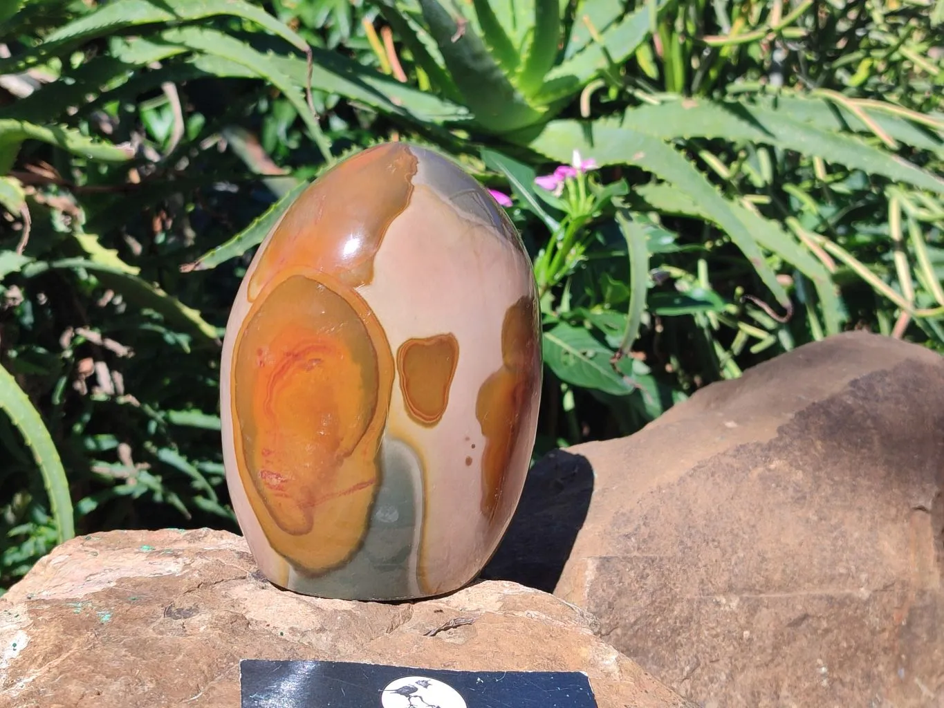 Polished Polychrome Jasper Standing Free Form x 1 From Madagascar