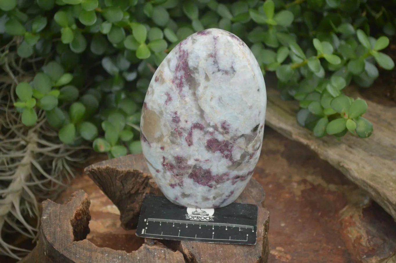 Polished Rubellite Pink Tourmaline Standing Free Form x 1 From Ambatondrazaka, Madagascar