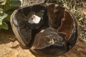 Polished Septerye Sauvage "Dragons Egg" x 1 From Mahajanga, Madagascar