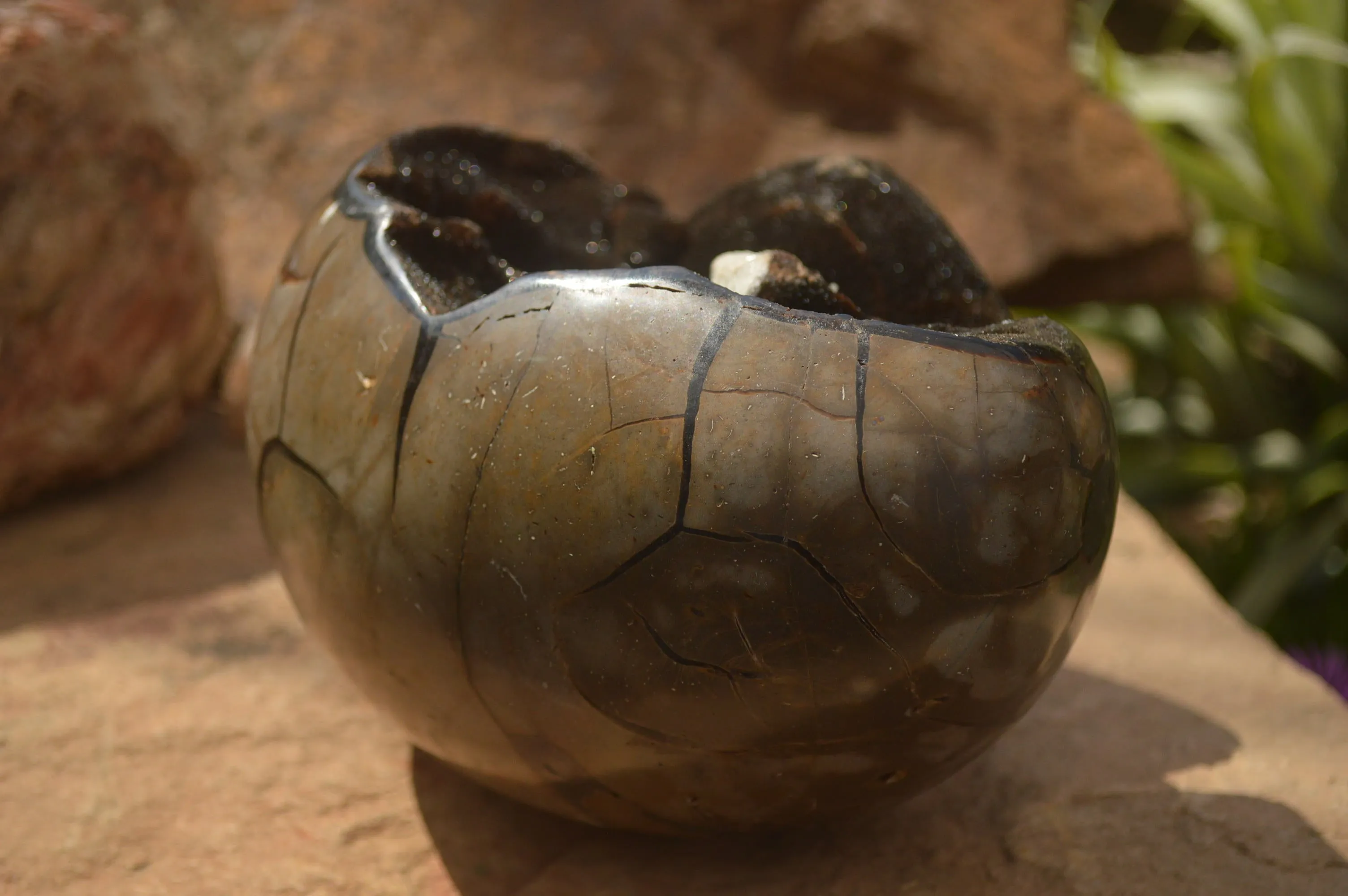 Polished Septerye Sauvage "Dragons Egg" x 1 From Mahajanga, Madagascar
