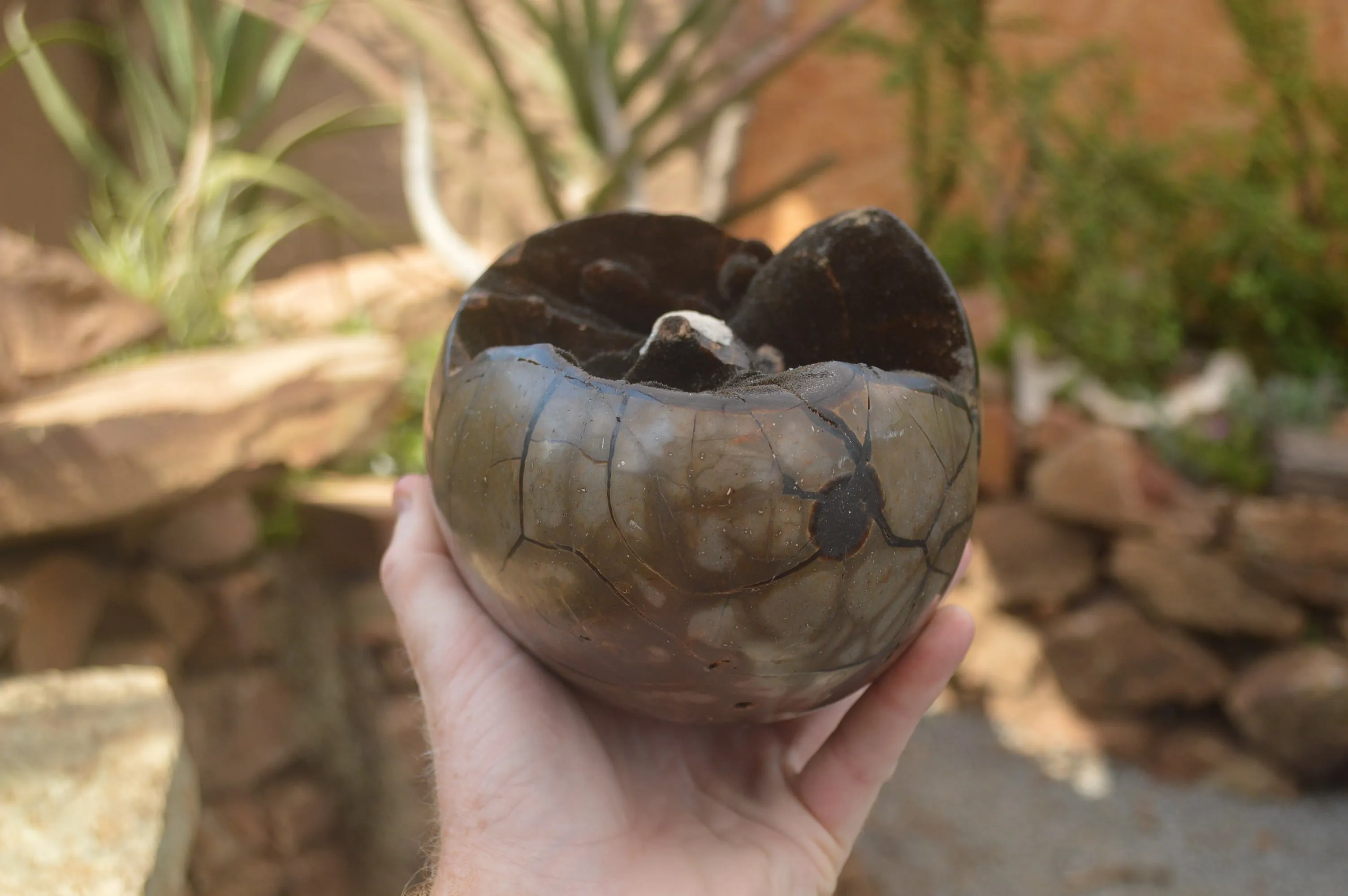 Polished Septerye Sauvage "Dragons Egg" x 1 From Mahajanga, Madagascar