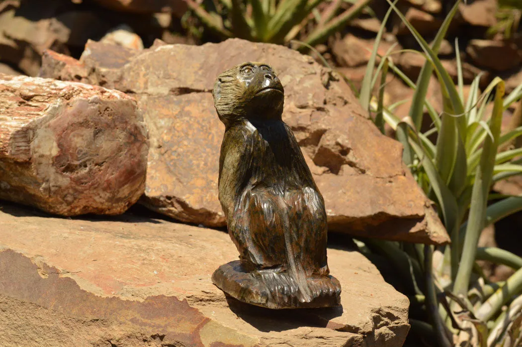 Polished Soapstone Baboon Carving x 1 From Zimbabwe