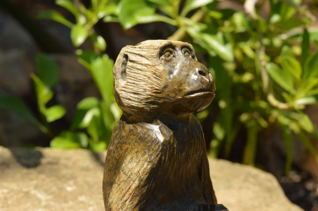Polished Soapstone Baboon Carving x 1 From Zimbabwe