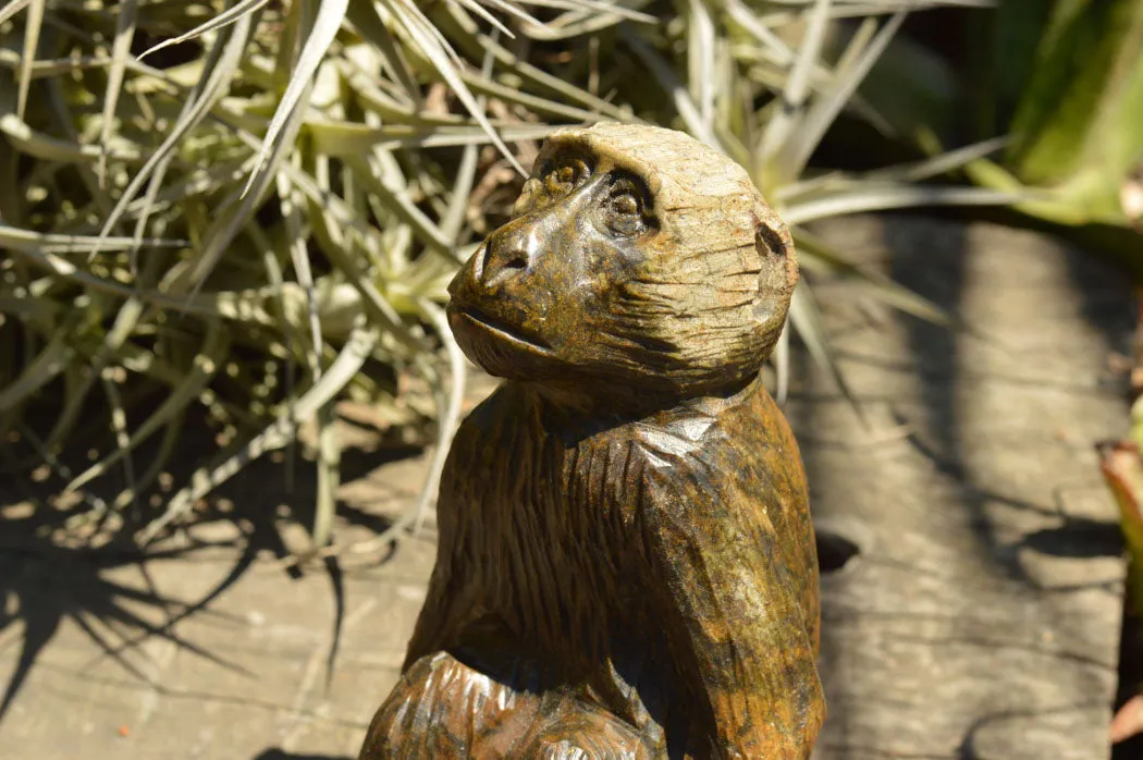Polished Soapstone Baboon Carving x 1 From Zimbabwe