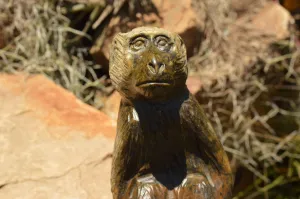 Polished Soapstone Baboon Carving x 1 From Zimbabwe