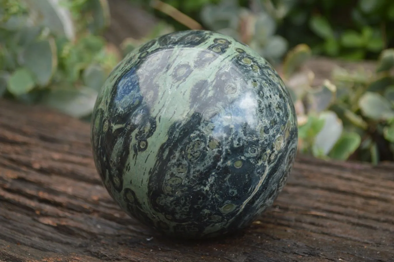 Polished Stromatolite / Kambamba Jasper Sphere  x 1 From Mahajanga, Madagascar