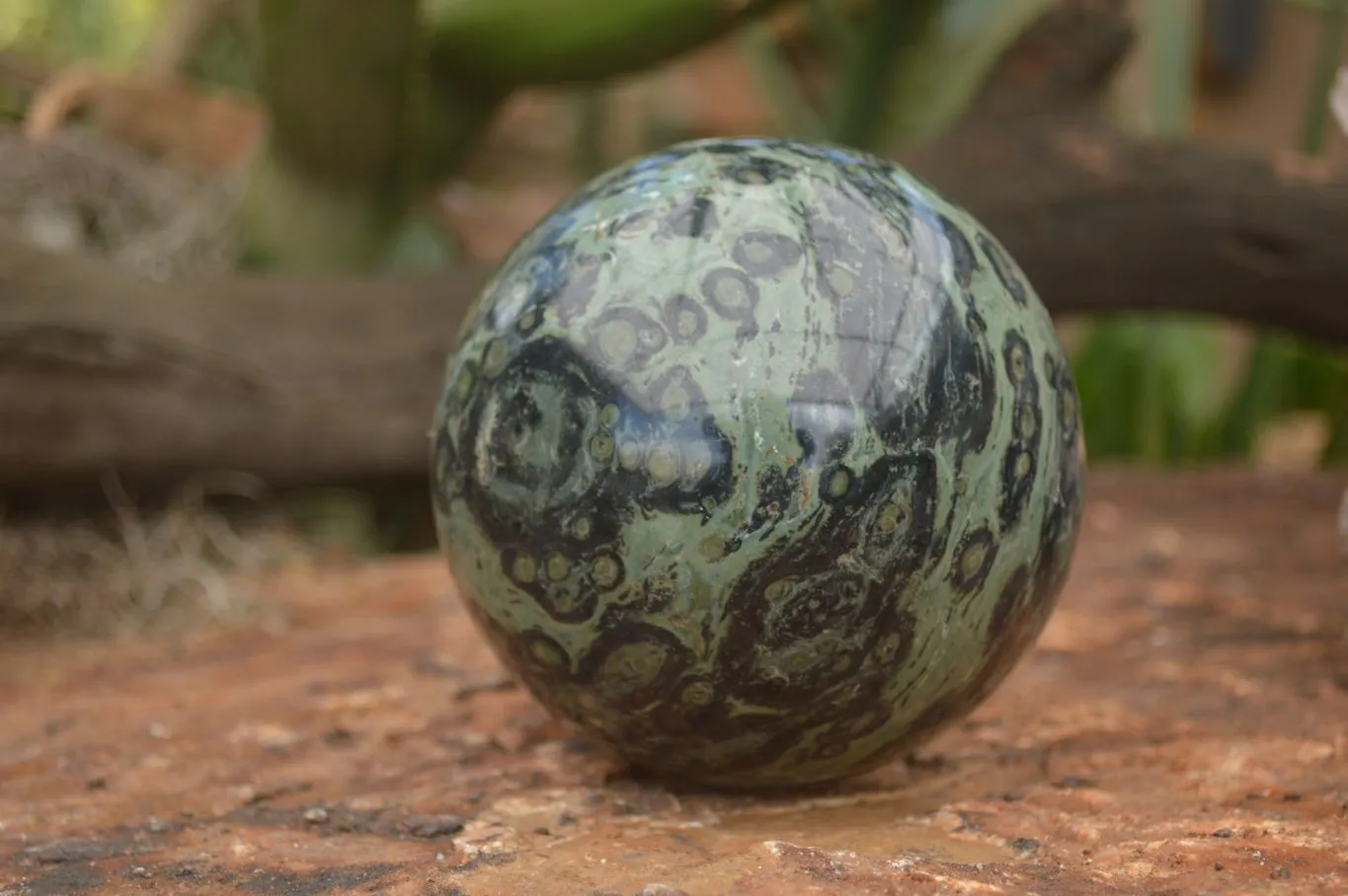 Polished Stromatolite / Kambamba Jasper Sphere  x 1 From Mahajanga, Madagascar
