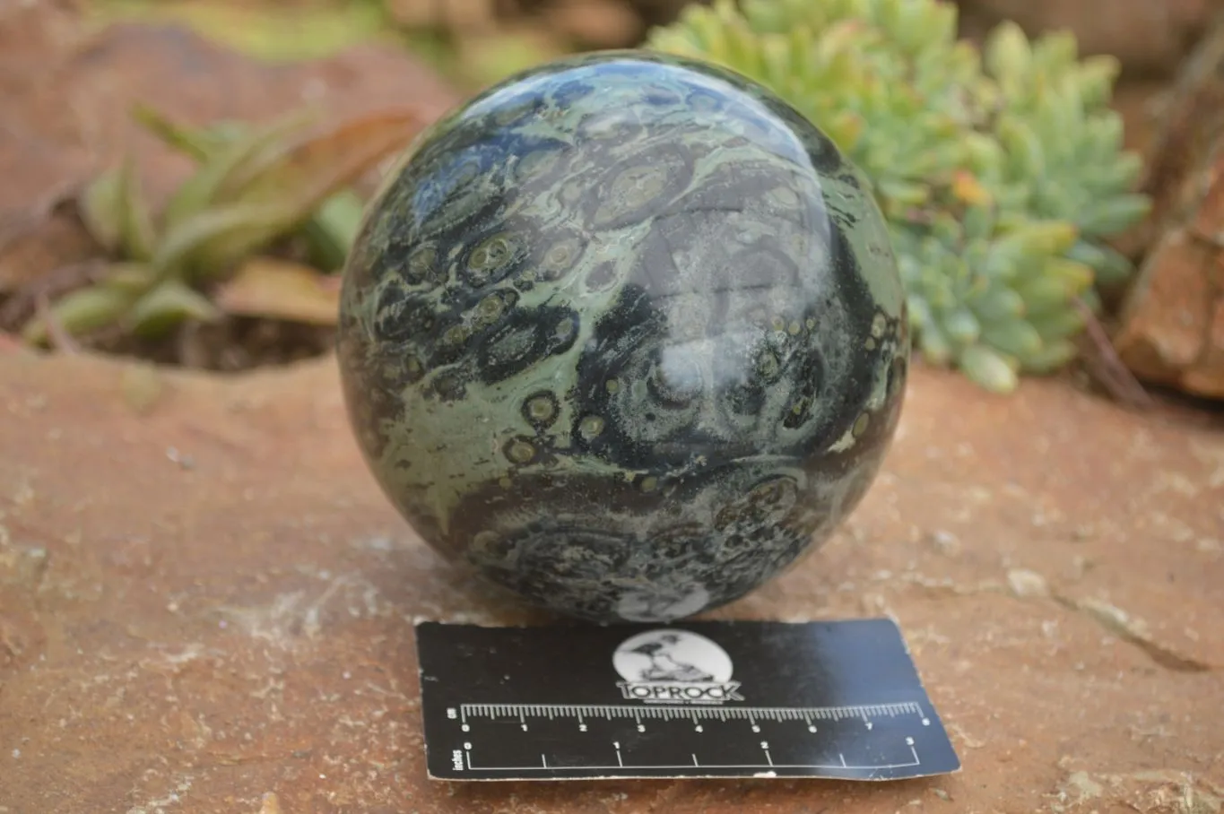 Polished Stromatolite / Kambamba Jasper Sphere  x 1 From Mahajanga, Madagascar
