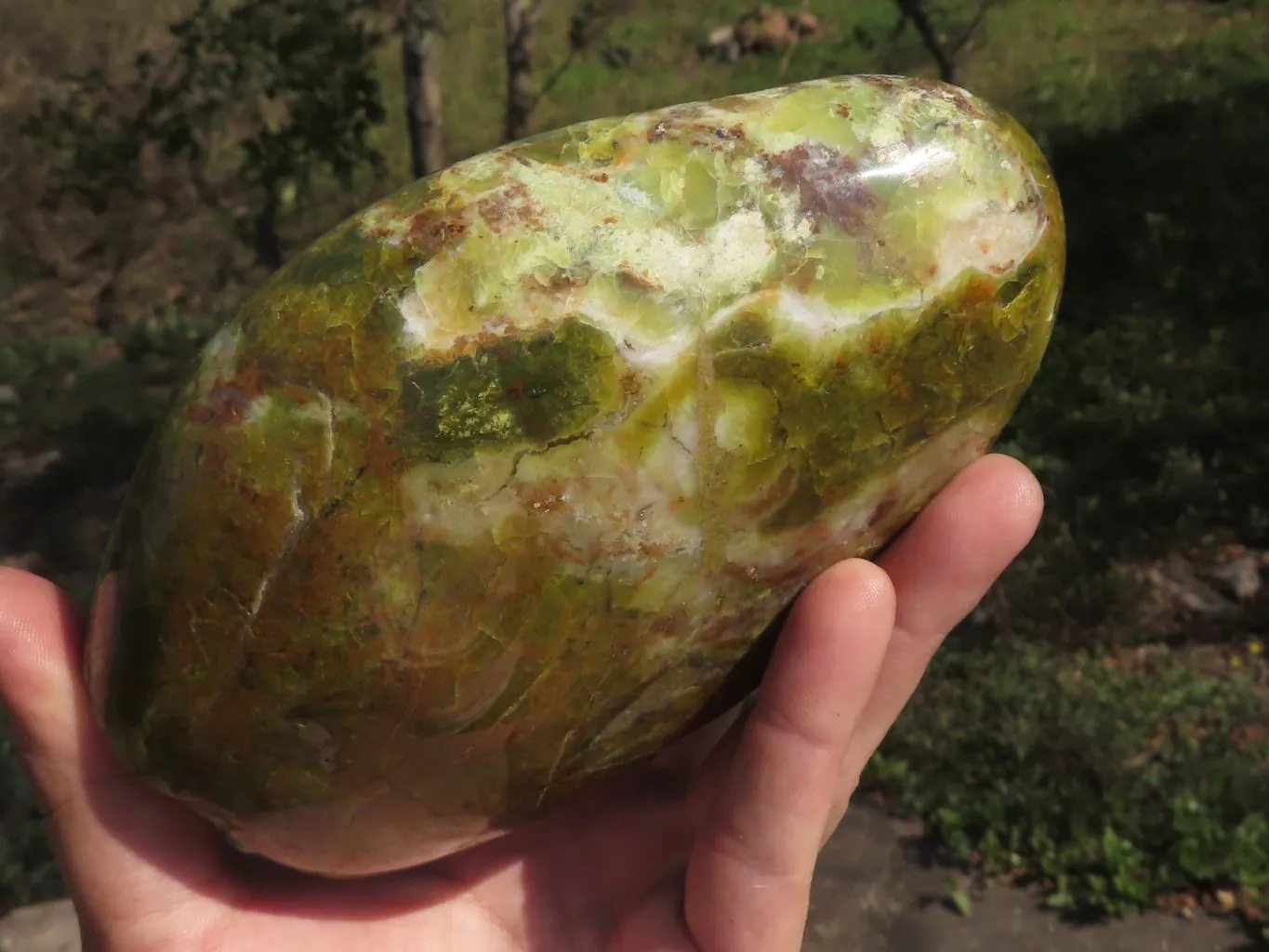 Polished Stunning Green Opal Standing Free Form x 1 From Antsirabe, Madagascar