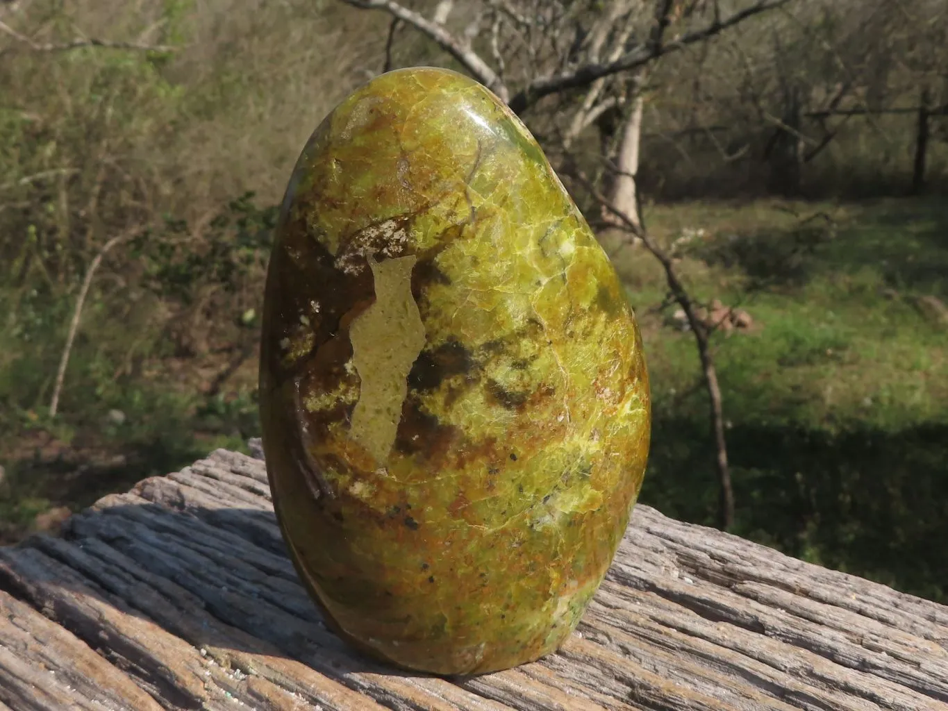 Polished Stunning Green Opal Standing Free Form x 1 From Antsirabe, Madagascar