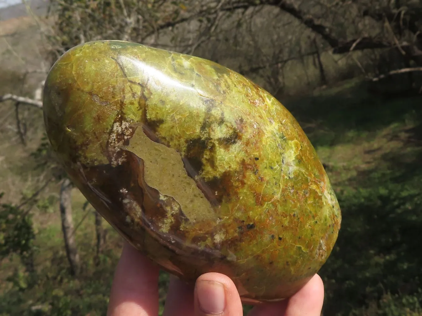 Polished Stunning Green Opal Standing Free Form x 1 From Antsirabe, Madagascar