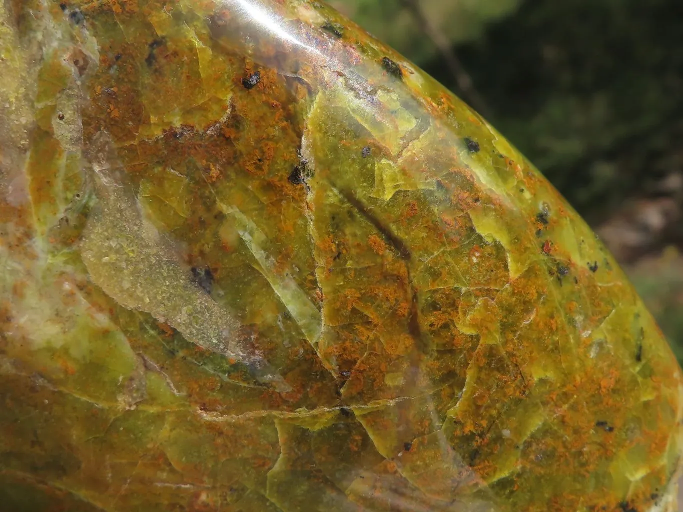 Polished Stunning Green Opal Standing Free Form x 1 From Antsirabe, Madagascar