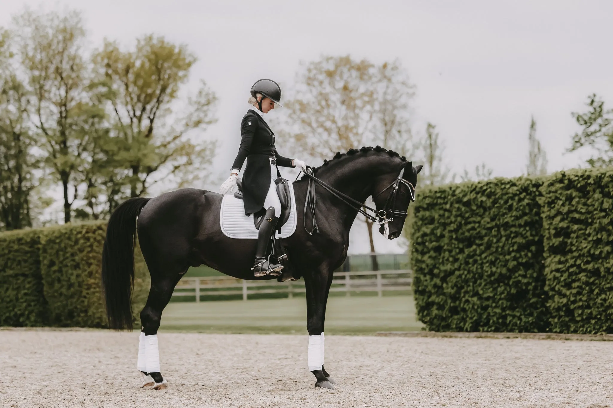 Saddle Pad Pearls Dressage