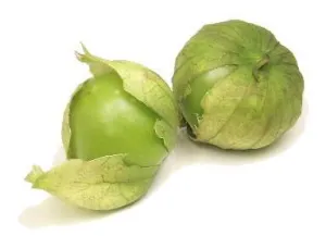 Tomatillo Grande Rio Verde - Heirloom Vegetable / Fruit - Physalis Walteri - 25 Seeds