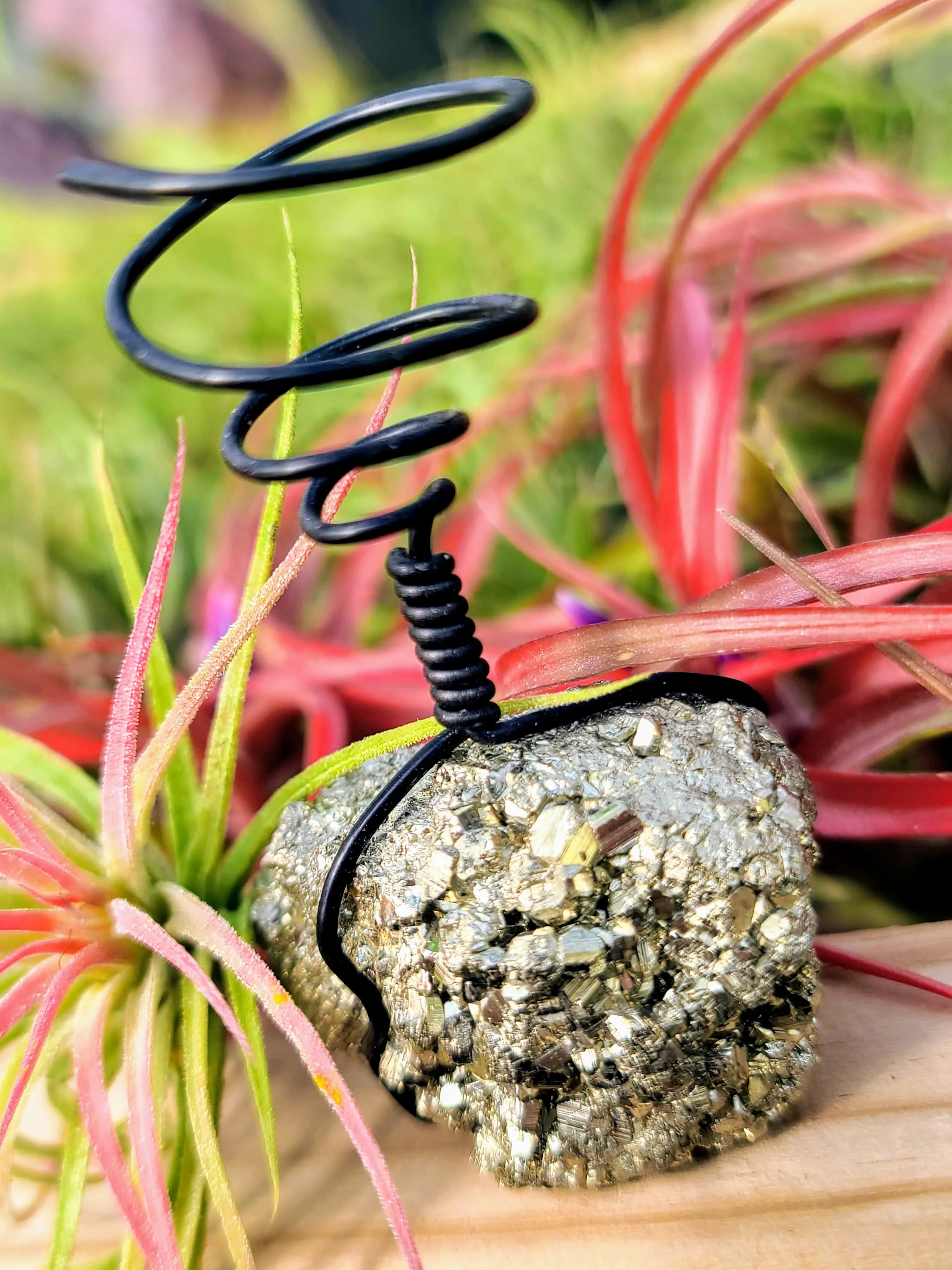 WYSIWYG Pyrite Air Plant Holder with Ionantha Mexican
